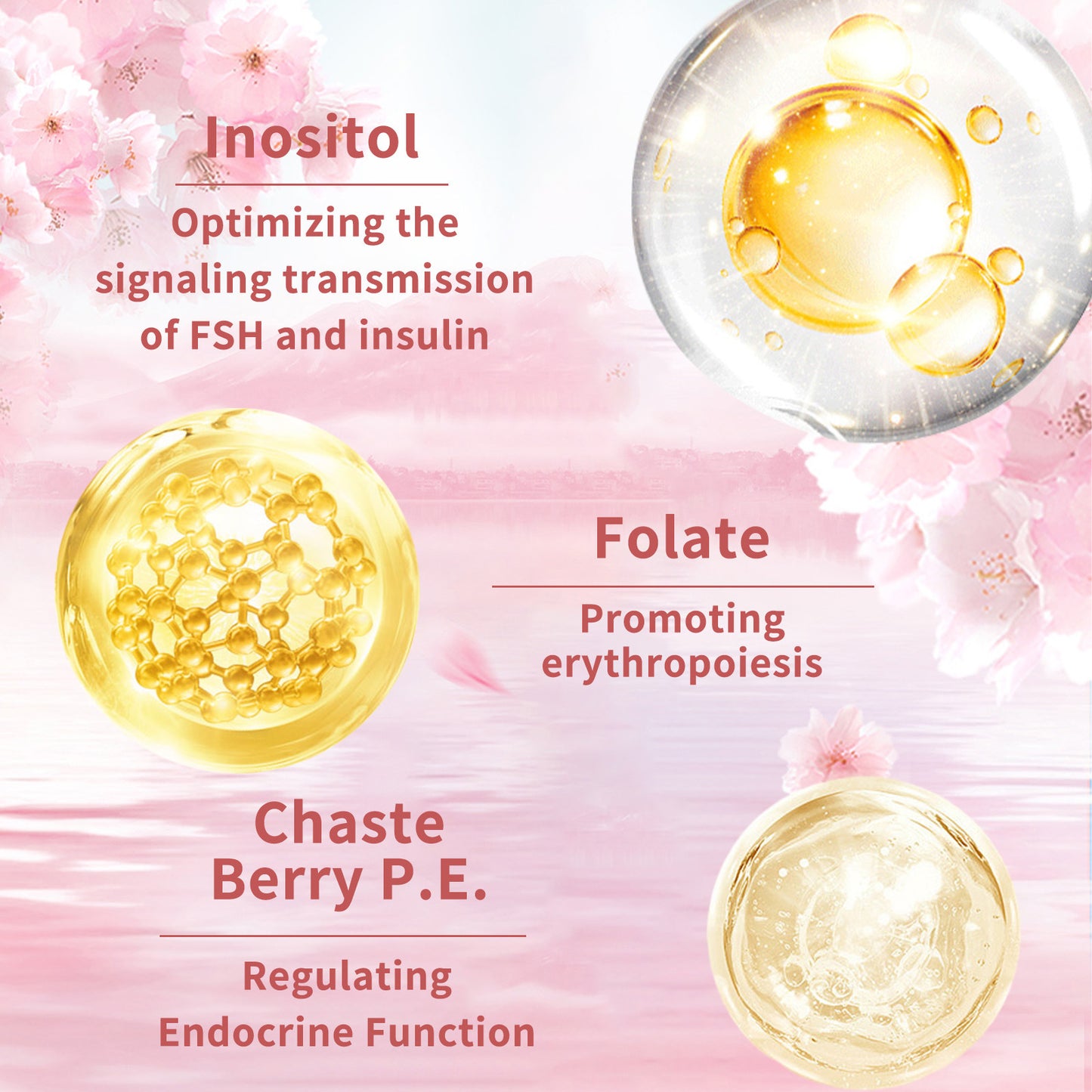 60 Bottled Female Maintenance Vitamin Capsules